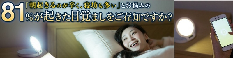 ���ڊo�����v�C���e�B���T�C�g